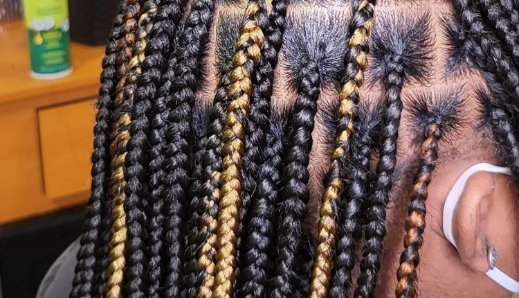 What Hair To Use For Bohemian Goddess Box Braids